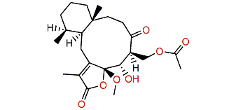 Anthogonoid A